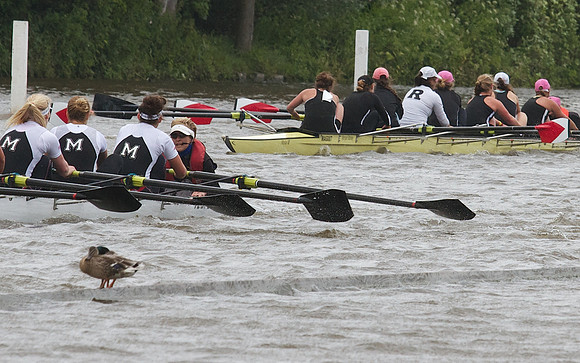 The Henley Women's Regatta