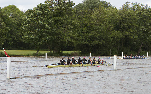 The Henley Women's Regatta