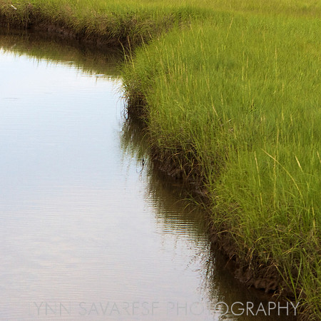 Martha's Vineyard H2O 2