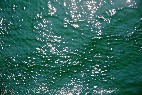 _94A3271