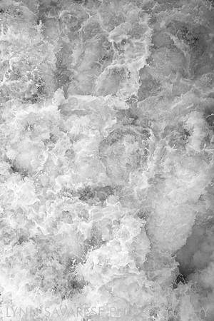 _94A6475 - Version 2