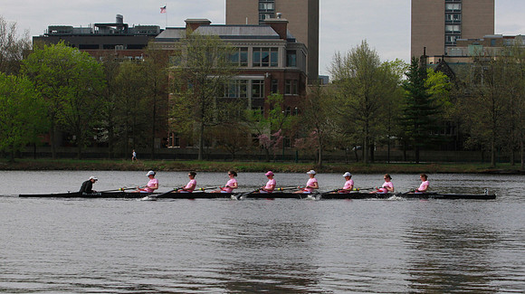 The Bean Pot 2011