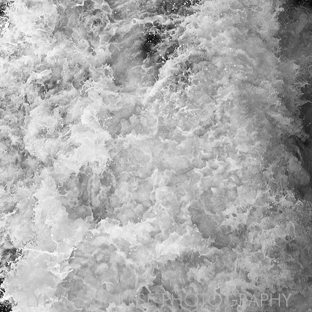 _94A6482 - Version 3