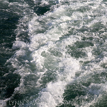 _94A6465