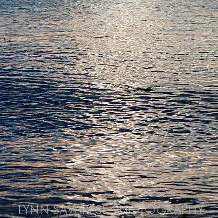 Martha's Vineyard H2O 3
