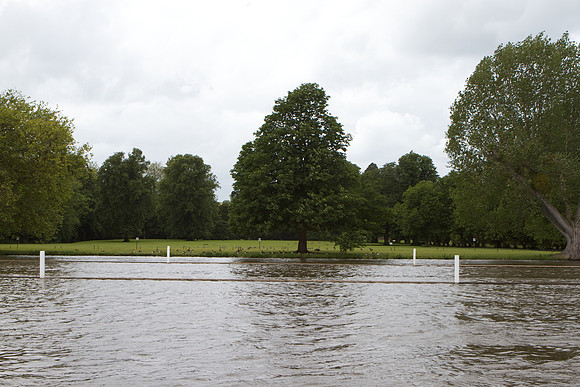 Henley Women's Regatta, 6/15/2012