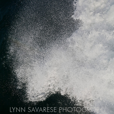 _94A6573 - Version 2