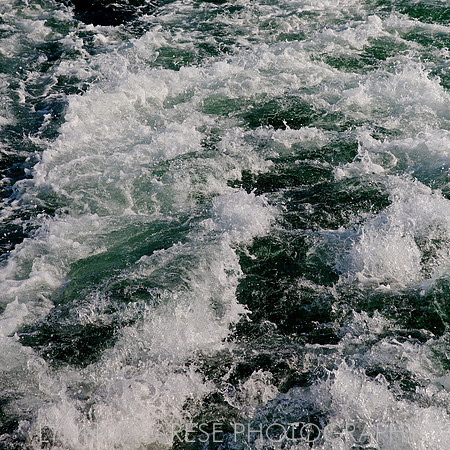 _94A6467
