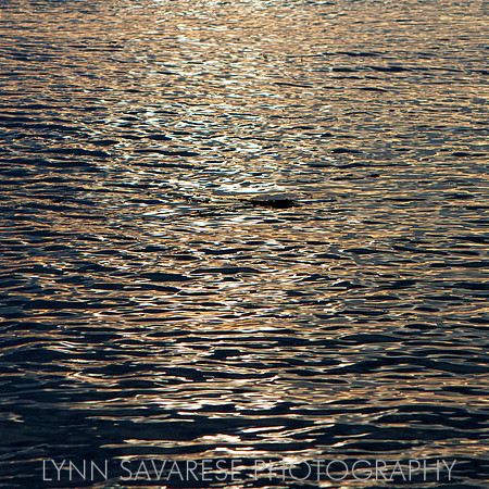 Martha's Vineyard H2O 4