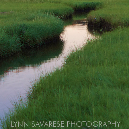 Martha's Vineyard H2O 26