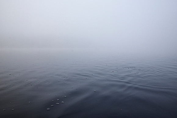 _94A6164