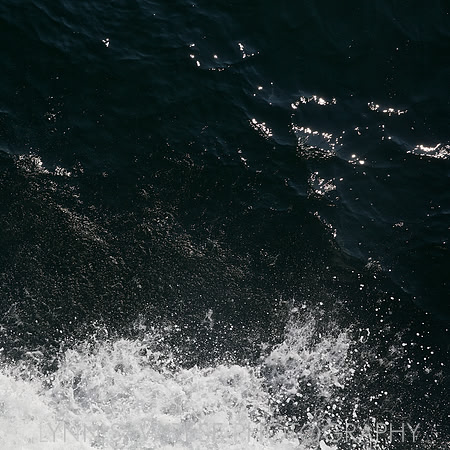 _94A6545