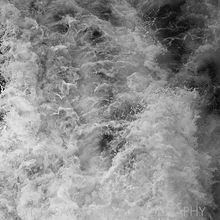 _94A6482 - Version 2