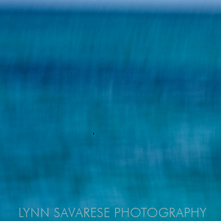 _94A7940 - Version 2