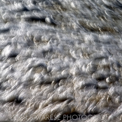 _94A6878 - Version 3