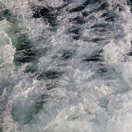 _94A6544 - Version 2
