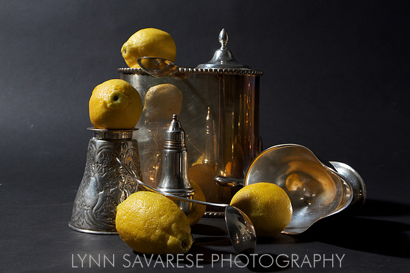 Lynn Savarese Portfolio