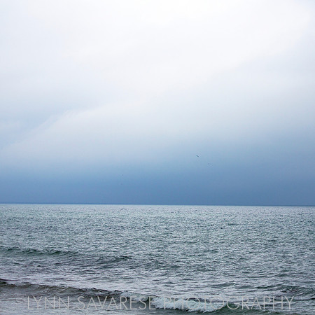 martha's vineyard h2o22