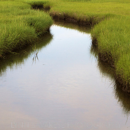 Martha's Vineyard H2O 1