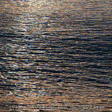 Martha's Vineyard H2O 7