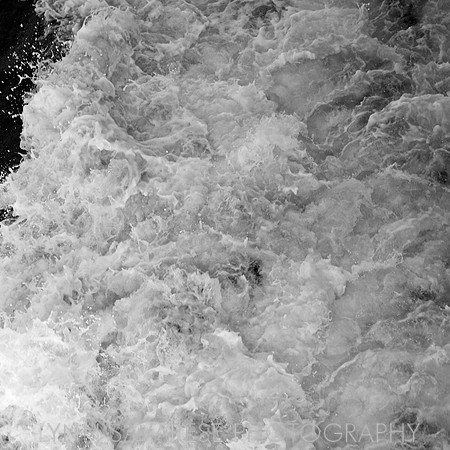 _94A6483 - Version 4